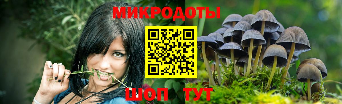 Псилоцибиновые грибы Psilocybe Тавда
