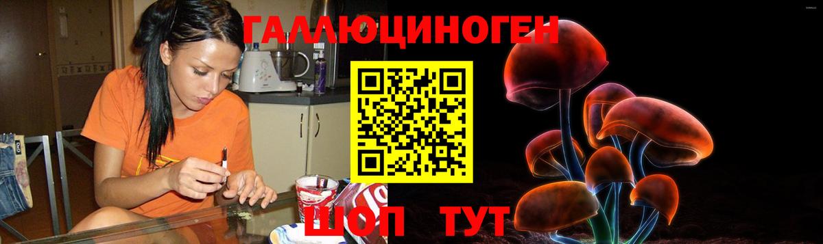 Псилоцибиновые грибы Cubensis  Вход с VPN  магазин продажи наркотиков  Тавда 